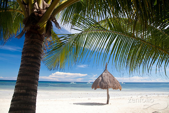 Tropical Afternoon
