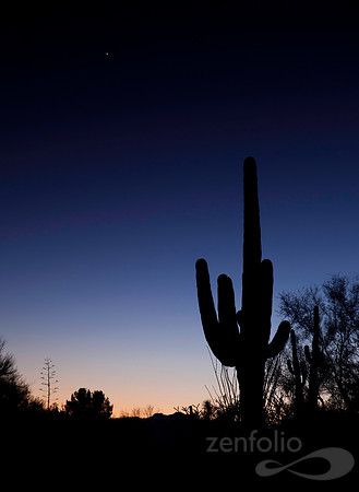 Desert Sunset