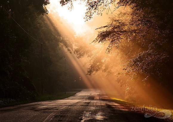 Morning Illumination