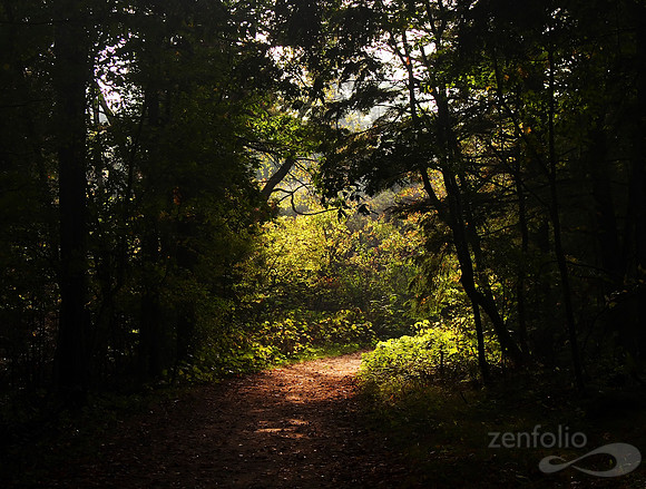 There's Light at the End...