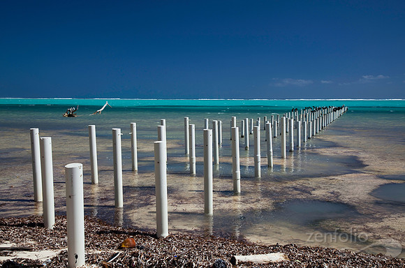 Pier Poles