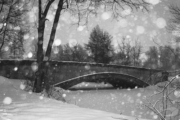 Wisconsin Winter Wonderland