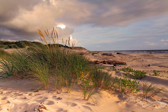 Manzanita Sand Dunes