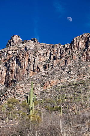 Sabino Canyon
