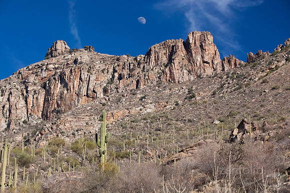 Desert Moonrise