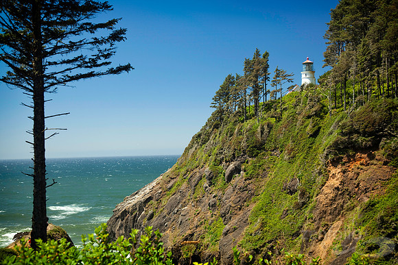 Heceta Head
