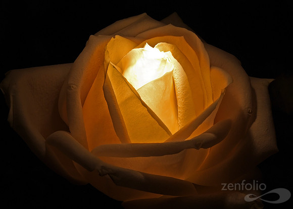 The Inner Light