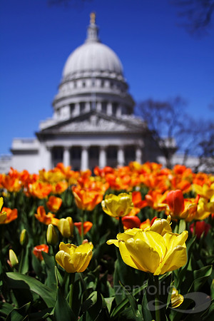 Capital Bokeh