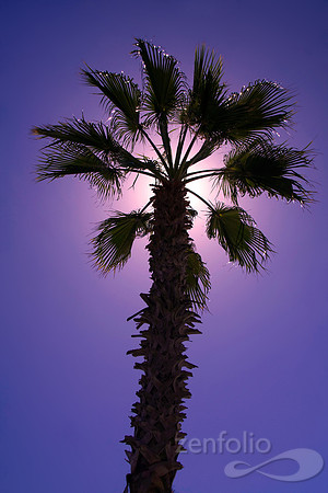 Tropical Eclipse