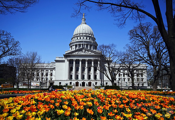 A Madison Spring Day
