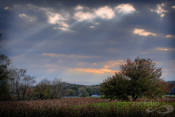 Sunrays Near Picnic Point