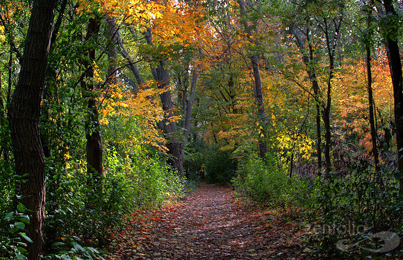 The Path Less Taken