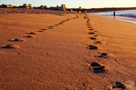 Cabo San Lucas Morning Footprints