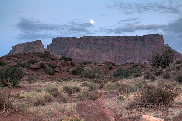 Desert Moonrise