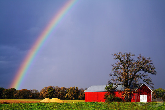 Somewhere Under the Rainbow