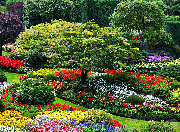 Butchart Gardens Fairytale