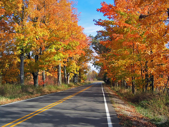 Fall Splendor