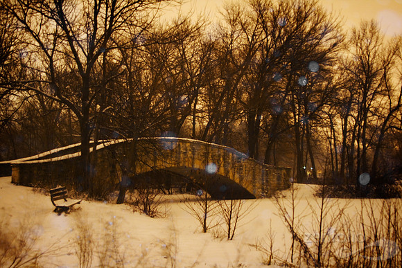 Winter Solitude at Tenney Park