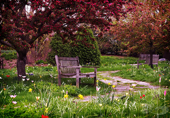 Olbrich Gardens Spring Afternoon